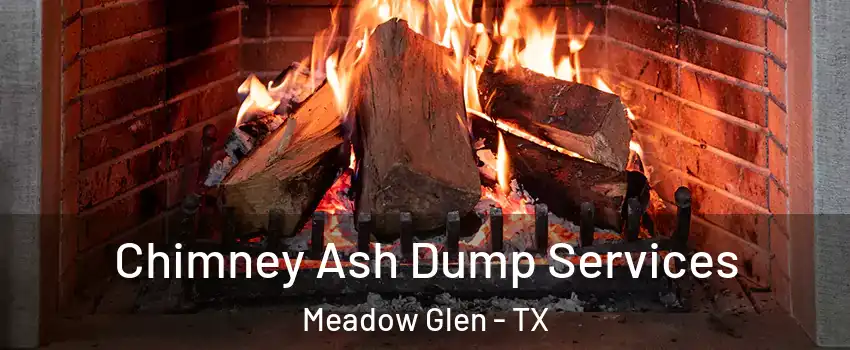 Chimney Ash Dump Services Meadow Glen - TX