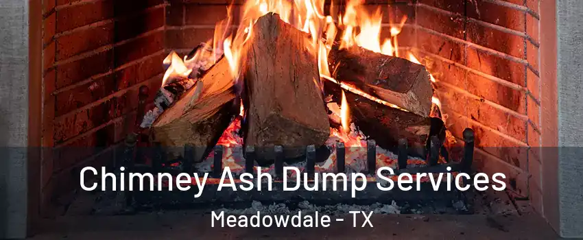 Chimney Ash Dump Services Meadowdale - TX