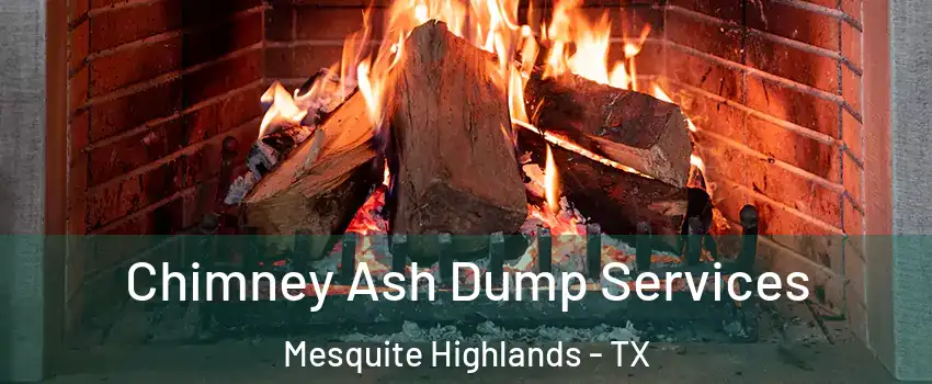 Chimney Ash Dump Services Mesquite Highlands - TX