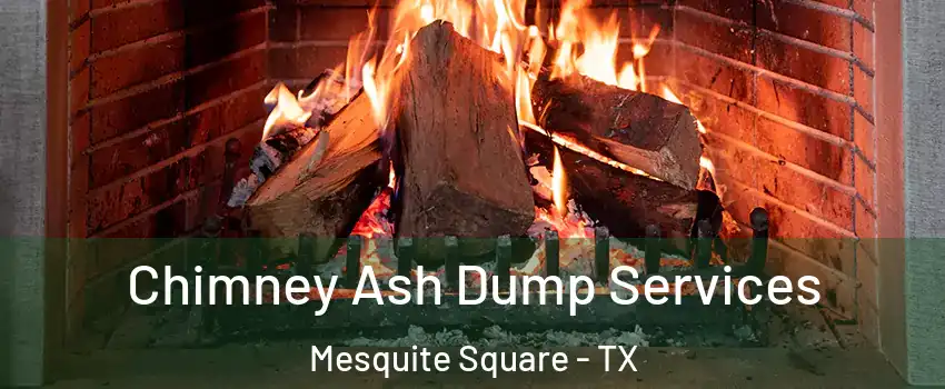 Chimney Ash Dump Services Mesquite Square - TX