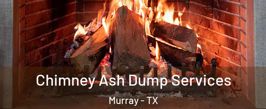 Chimney Ash Dump Services Murray - TX