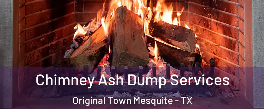 Chimney Ash Dump Services Original Town Mesquite - TX