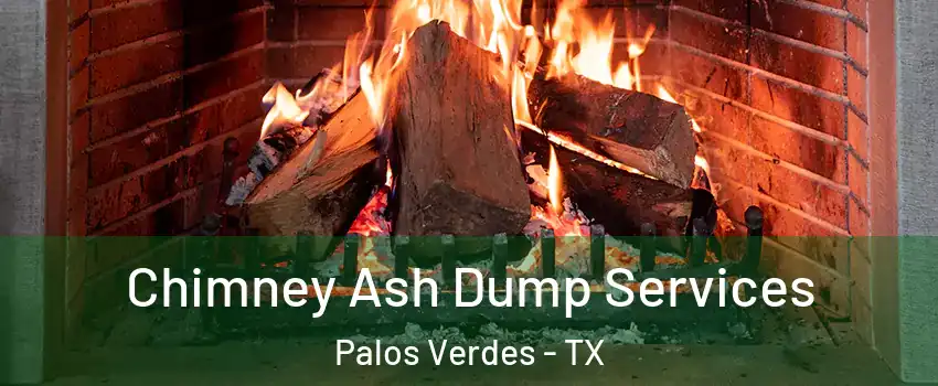 Chimney Ash Dump Services Palos Verdes - TX