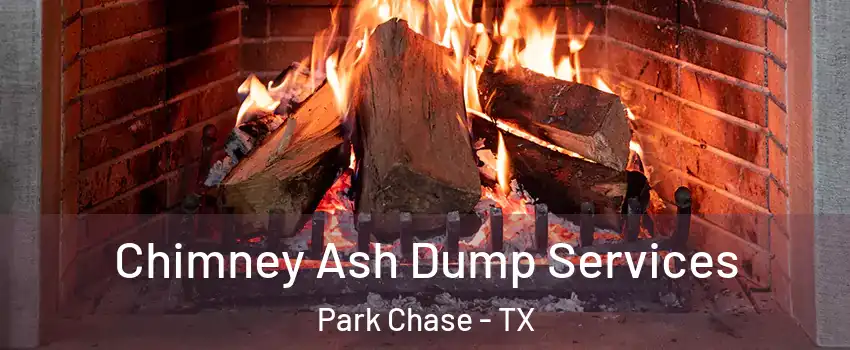 Chimney Ash Dump Services Park Chase - TX