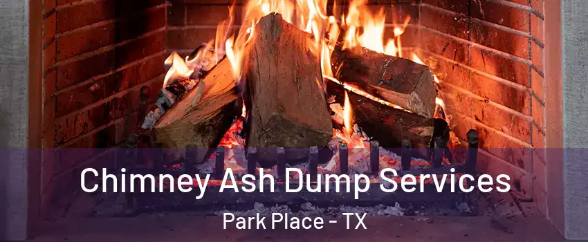 Chimney Ash Dump Services Park Place - TX
