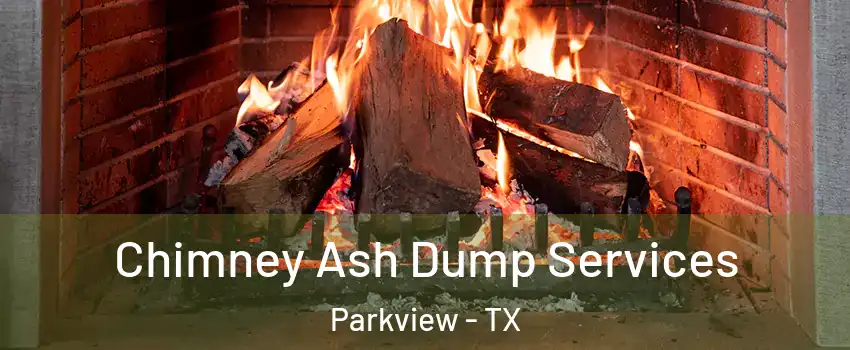 Chimney Ash Dump Services Parkview - TX