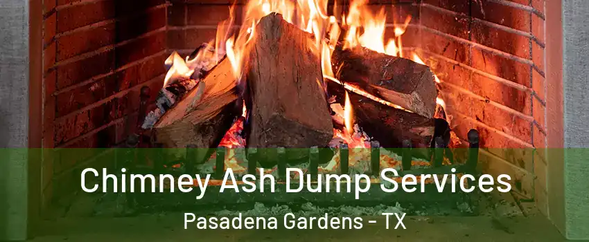 Chimney Ash Dump Services Pasadena Gardens - TX