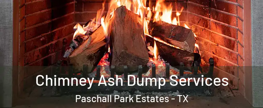 Chimney Ash Dump Services Paschall Park Estates - TX