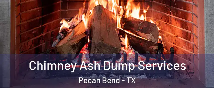 Chimney Ash Dump Services Pecan Bend - TX