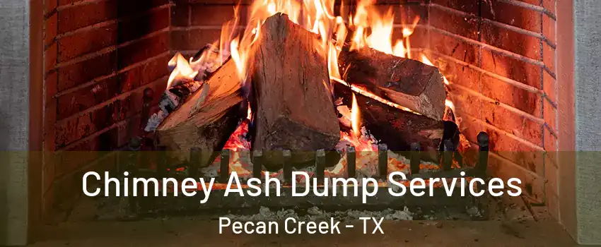 Chimney Ash Dump Services Pecan Creek - TX