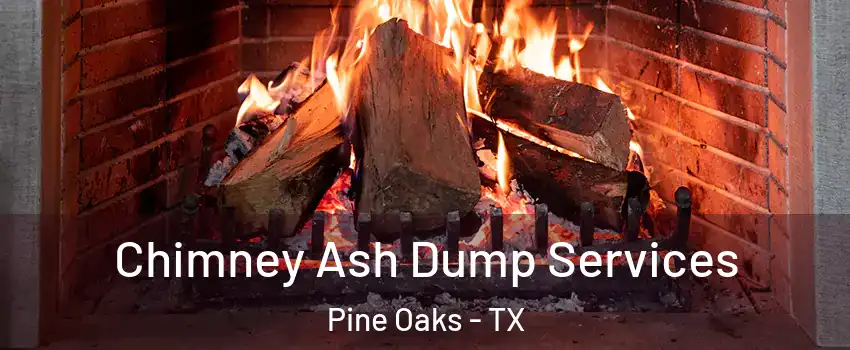 Chimney Ash Dump Services Pine Oaks - TX
