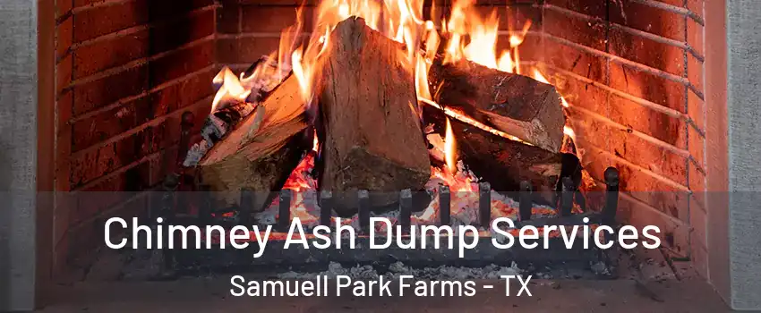 Chimney Ash Dump Services Samuell Park Farms - TX