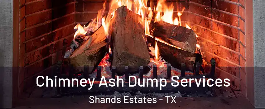 Chimney Ash Dump Services Shands Estates - TX