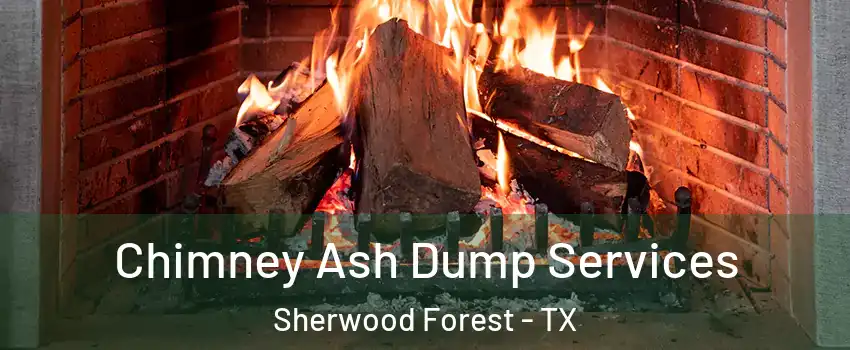Chimney Ash Dump Services Sherwood Forest - TX