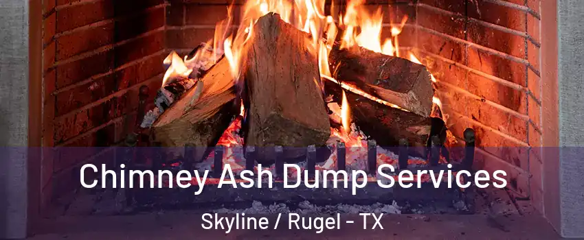 Chimney Ash Dump Services Skyline / Rugel - TX