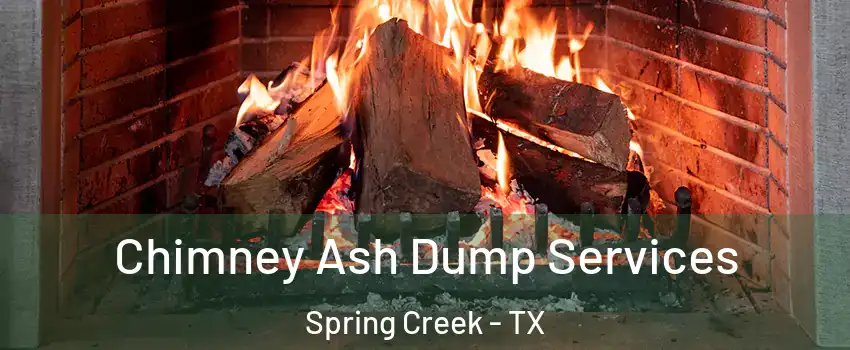 Chimney Ash Dump Services Spring Creek - TX