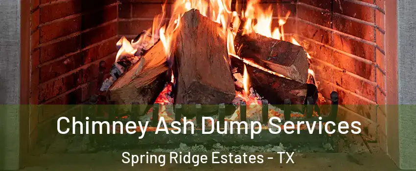 Chimney Ash Dump Services Spring Ridge Estates - TX