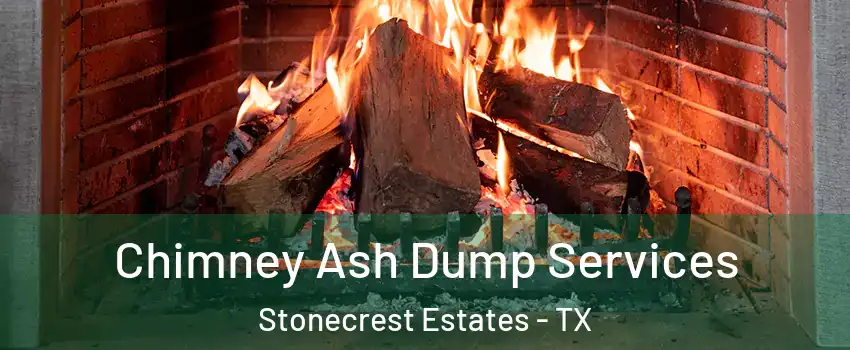 Chimney Ash Dump Services Stonecrest Estates - TX