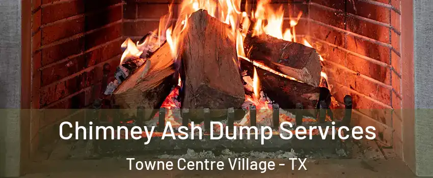 Chimney Ash Dump Services Towne Centre Village - TX