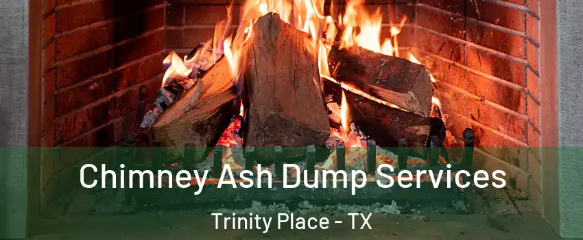 Chimney Ash Dump Services Trinity Place - TX