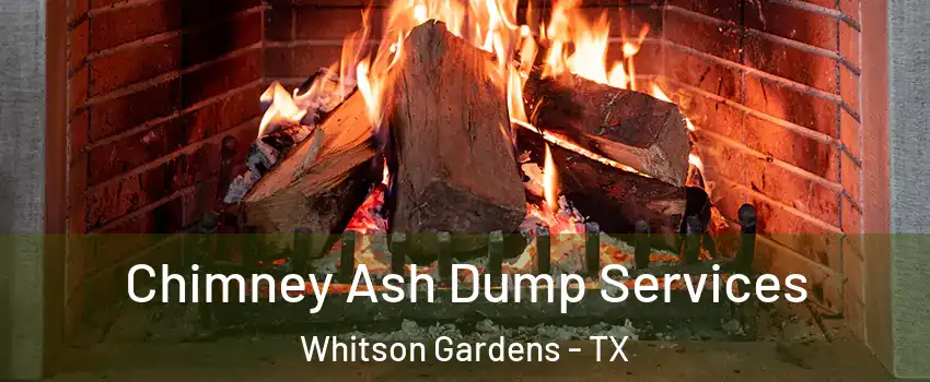 Chimney Ash Dump Services Whitson Gardens - TX