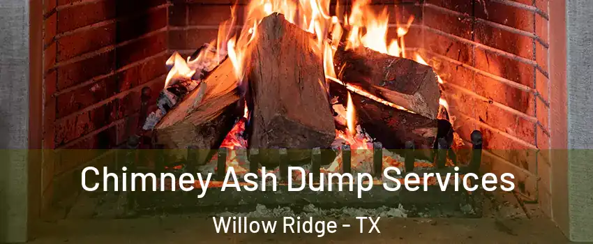 Chimney Ash Dump Services Willow Ridge - TX