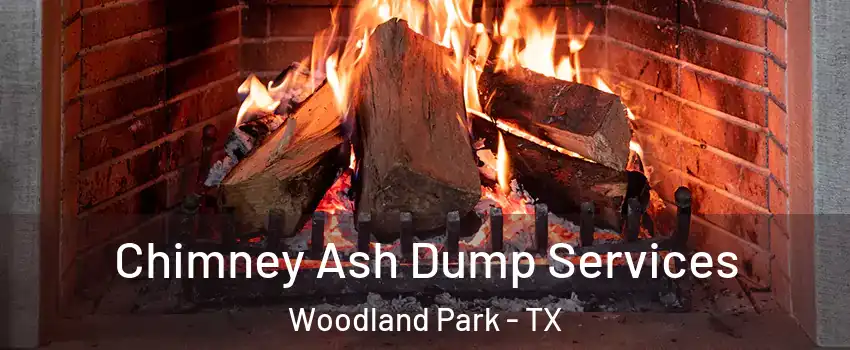 Chimney Ash Dump Services Woodland Park - TX