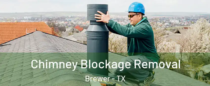 Chimney Blockage Removal Brewer - TX