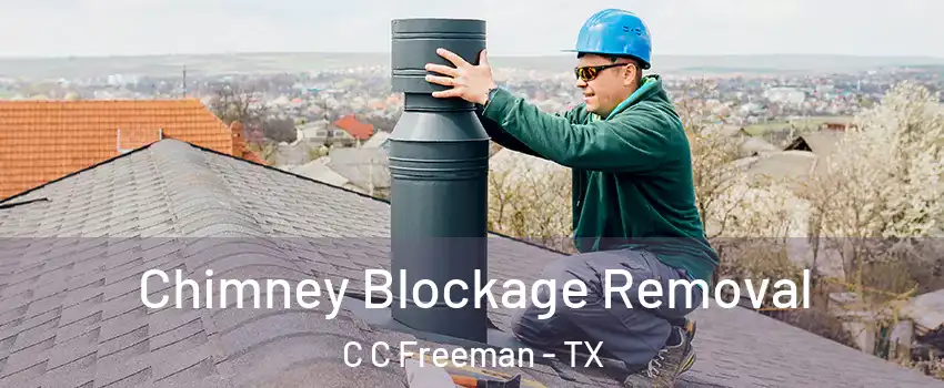 Chimney Blockage Removal C C Freeman - TX