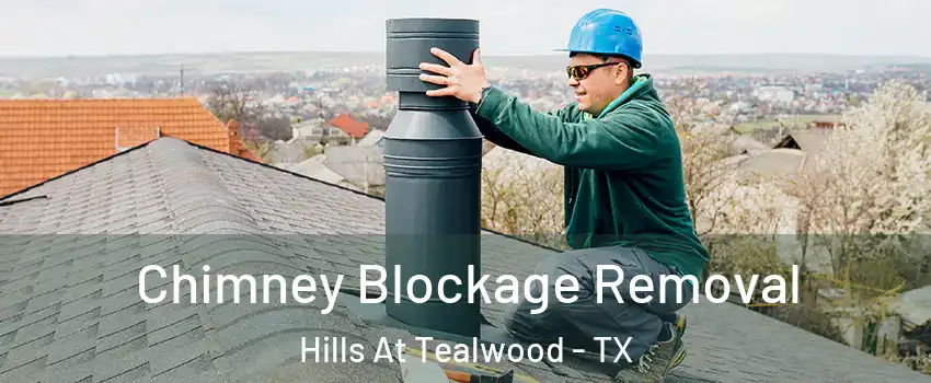 Chimney Blockage Removal Hills At Tealwood - TX