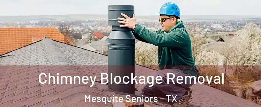 Chimney Blockage Removal Mesquite Seniors - TX