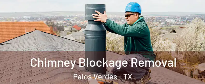 Chimney Blockage Removal Palos Verdes - TX