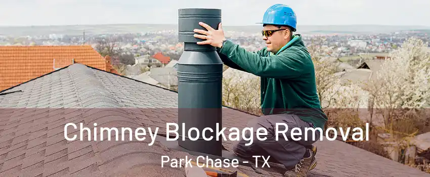 Chimney Blockage Removal Park Chase - TX