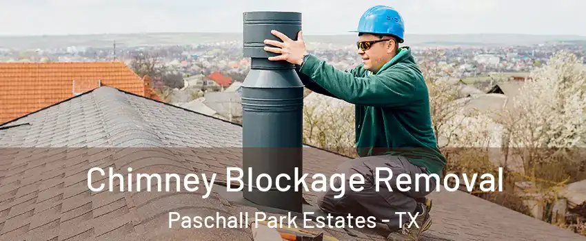 Chimney Blockage Removal Paschall Park Estates - TX