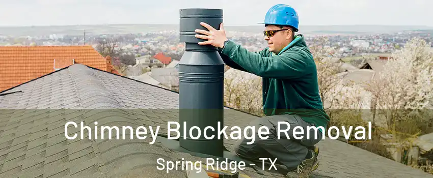 Chimney Blockage Removal Spring Ridge - TX