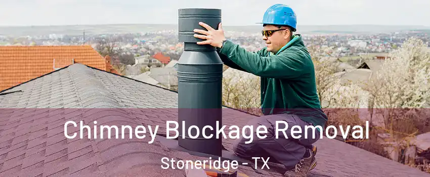 Chimney Blockage Removal Stoneridge - TX