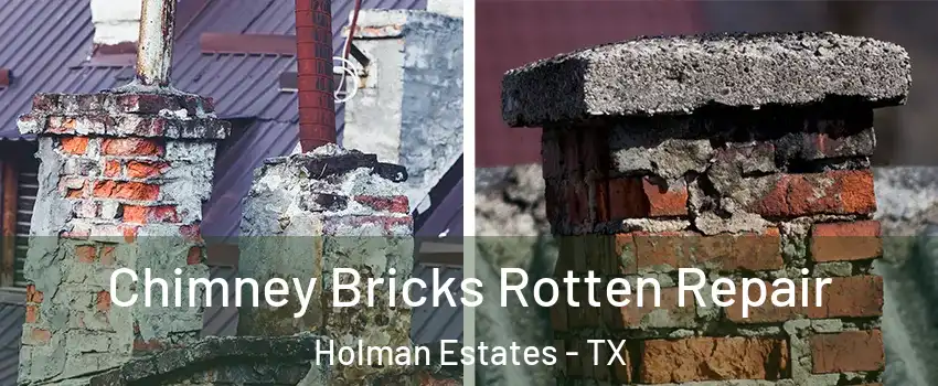 Chimney Bricks Rotten Repair Holman Estates - TX