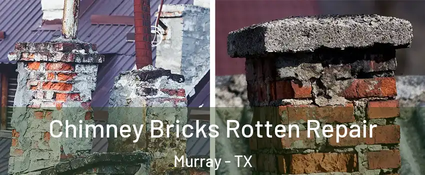 Chimney Bricks Rotten Repair Murray - TX