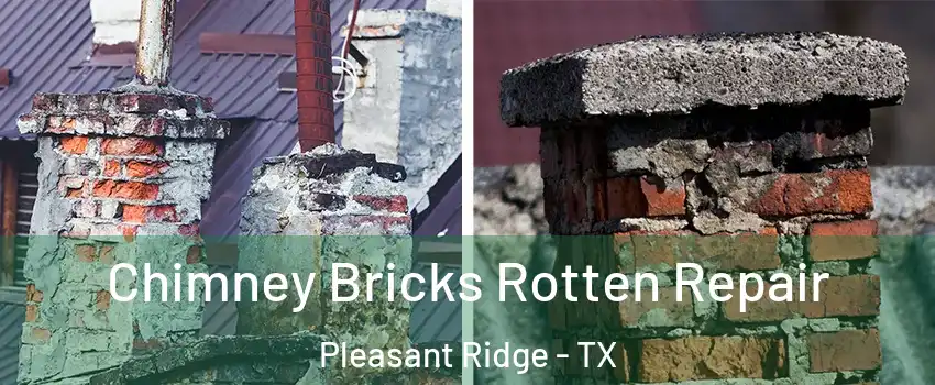 Chimney Bricks Rotten Repair Pleasant Ridge - TX