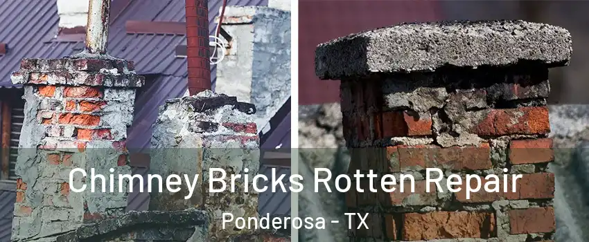 Chimney Bricks Rotten Repair Ponderosa - TX