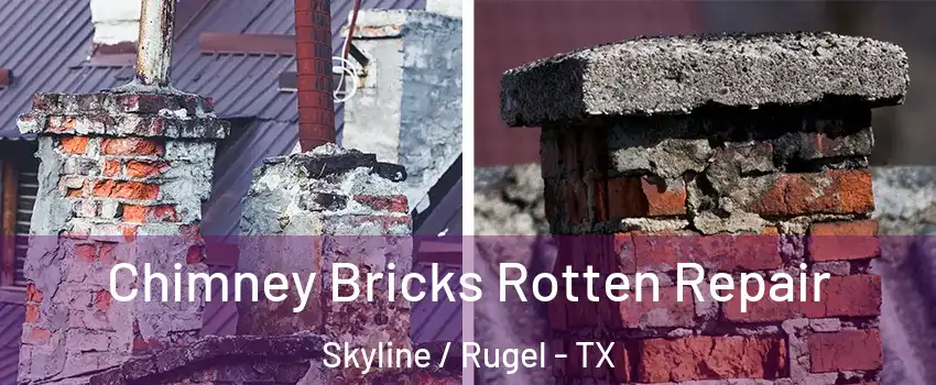 Chimney Bricks Rotten Repair Skyline / Rugel - TX