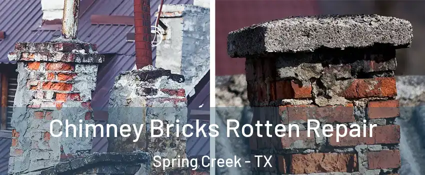 Chimney Bricks Rotten Repair Spring Creek - TX