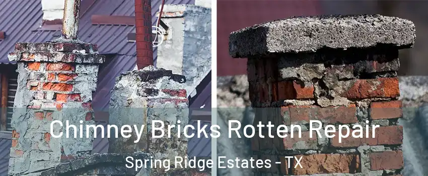 Chimney Bricks Rotten Repair Spring Ridge Estates - TX