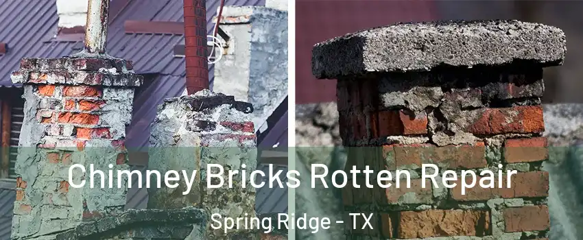 Chimney Bricks Rotten Repair Spring Ridge - TX