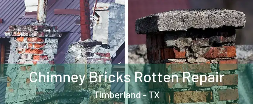 Chimney Bricks Rotten Repair Timberland - TX