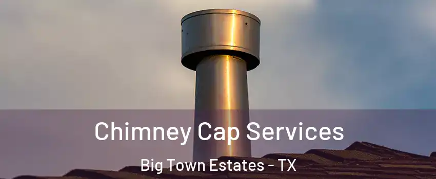 Chimney Cap Services Big Town Estates - TX