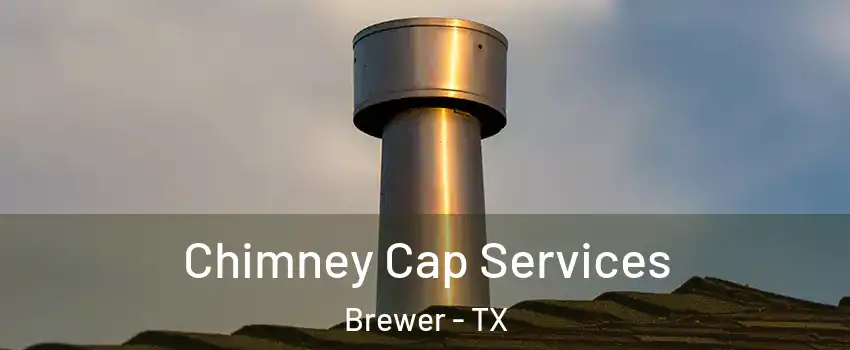 Chimney Cap Services Brewer - TX