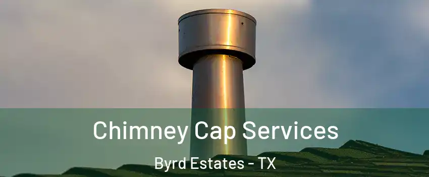 Chimney Cap Services Byrd Estates - TX