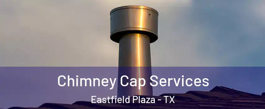 Chimney Cap Services Eastfield Plaza - TX