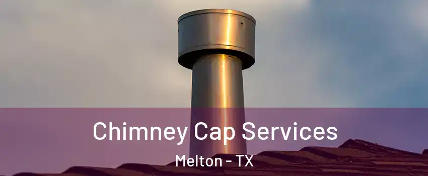 Chimney Cap Services Melton - TX